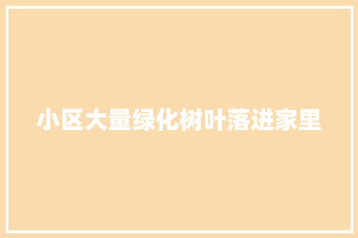 小区大量绿化树叶落进家里