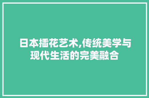 日本插花艺术,传统美学与现代生活的完美融合