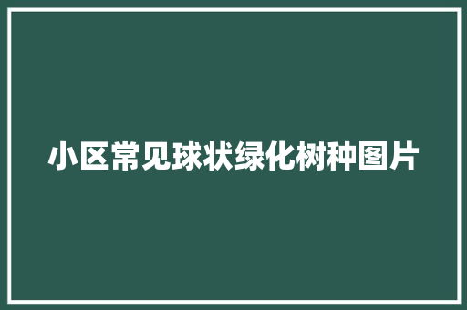 小区常见球状绿化树种图片