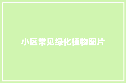 小区常见绿化植物图片