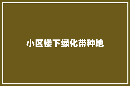 小区楼下绿化带种地