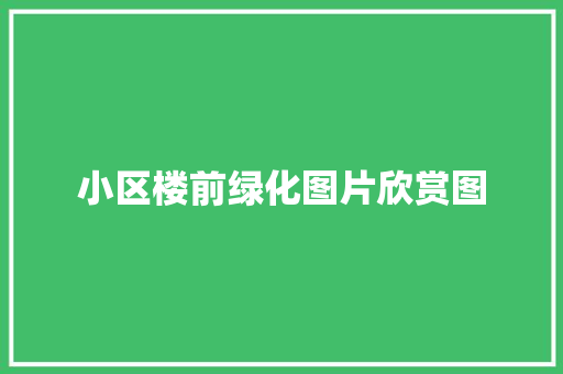 小区楼前绿化图片欣赏图