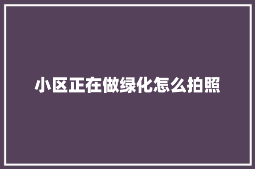 小区正在做绿化怎么拍照