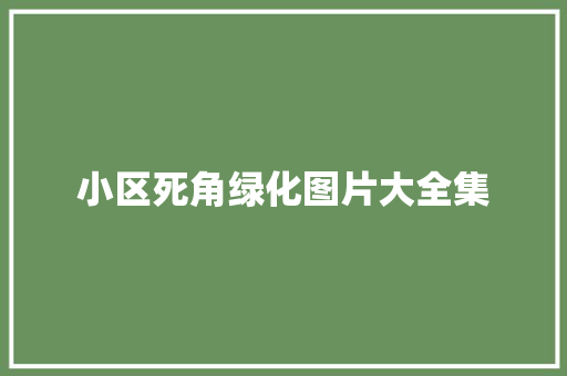 小区死角绿化图片大全集