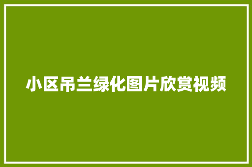 小区吊兰绿化图片欣赏视频