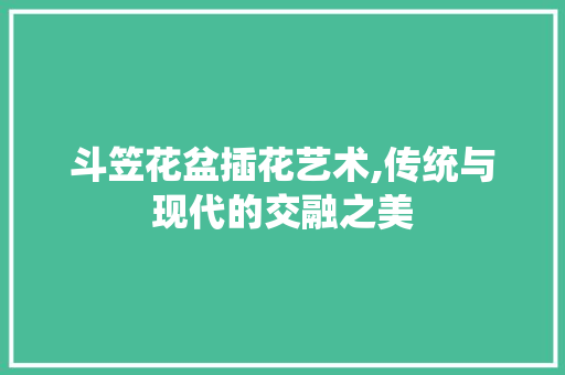 斗笠花盆插花艺术,传统与现代的交融之美