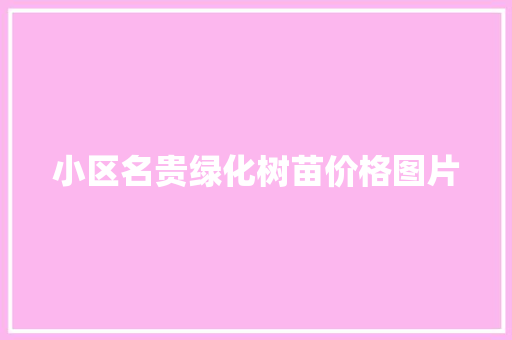 小区名贵绿化树苗价格图片