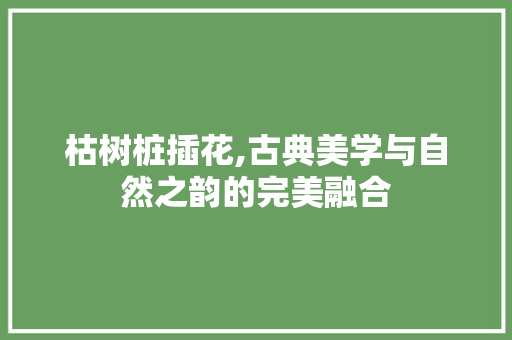 枯树桩插花,古典美学与自然之韵的完美融合