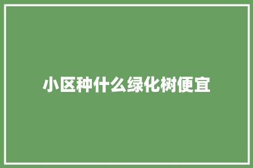 小区种什么绿化树便宜