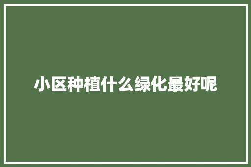 小区种植什么绿化最好呢