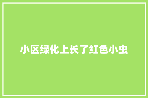 小区绿化上长了红色小虫