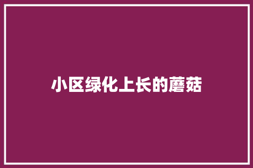 小区绿化上长的蘑菇