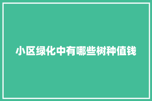 小区绿化中有哪些树种值钱
