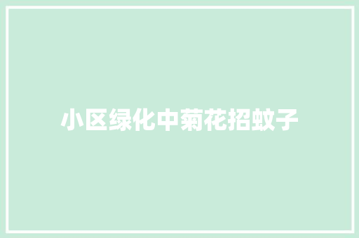 小区绿化中菊花招蚊子