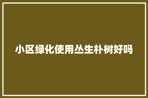 小区绿化使用丛生朴树好吗
