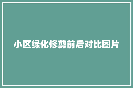 小区绿化修剪前后对比图片