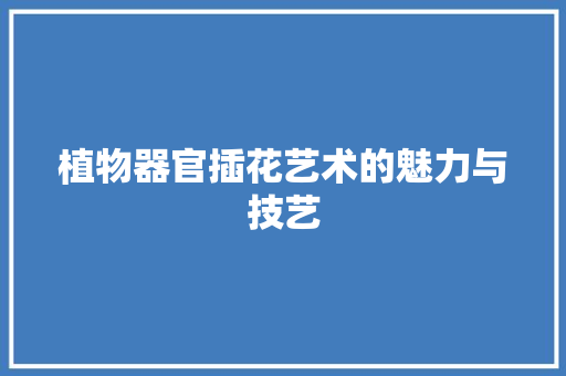 植物器官插花艺术的魅力与技艺
