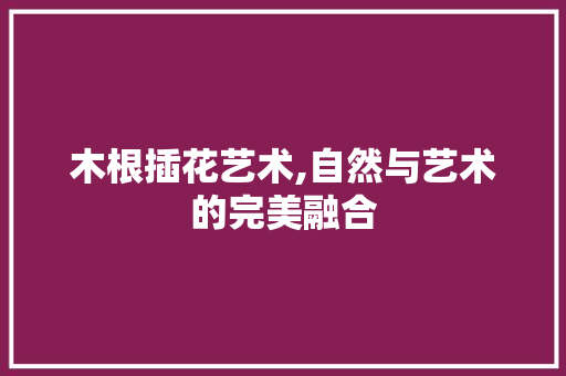 木根插花艺术,自然与艺术的完美融合
