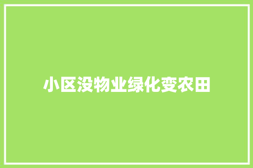 小区没物业绿化变农田
