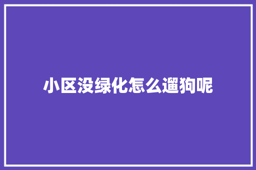 小区没绿化怎么遛狗呢