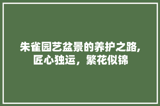 朱雀园艺盆景的养护之路,匠心独运，繁花似锦
