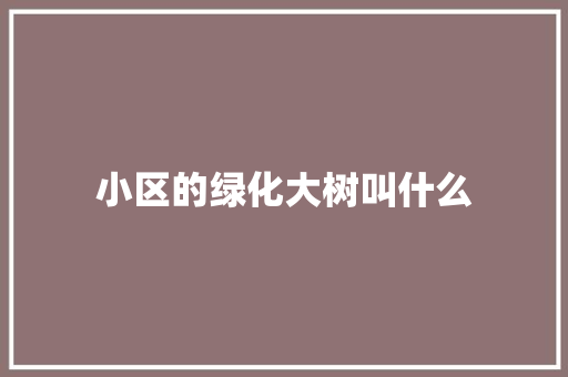 小区的绿化大树叫什么