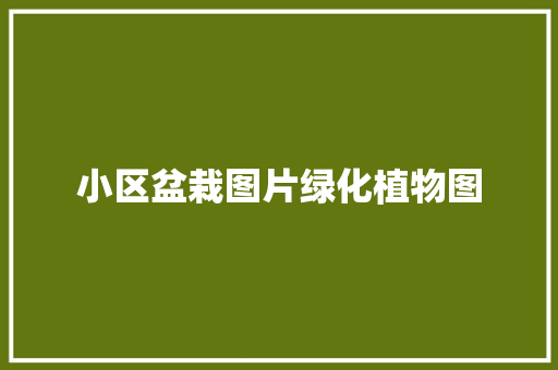 小区盆栽图片绿化植物图
