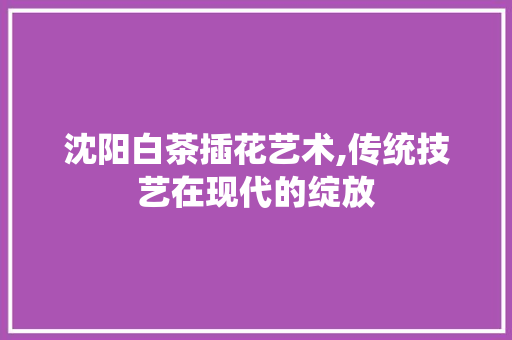 沈阳白茶插花艺术,传统技艺在现代的绽放