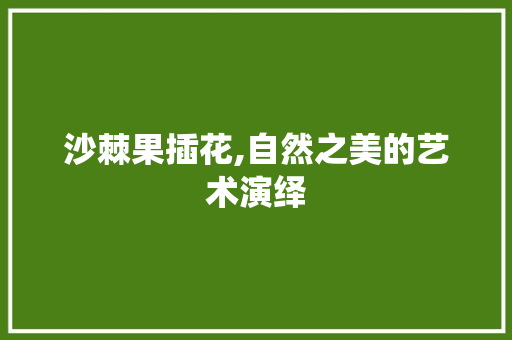 沙棘果插花,自然之美的艺术演绎