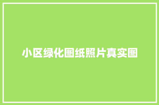 小区绿化图纸照片真实图