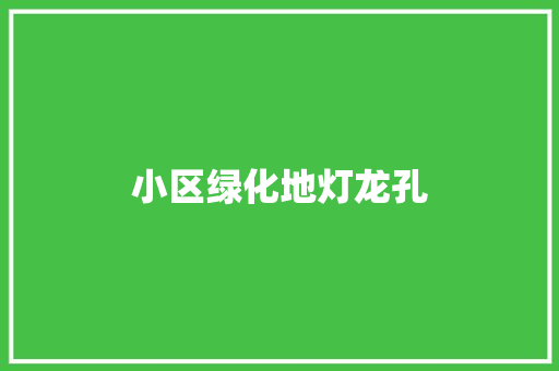 小区绿化地灯龙孔