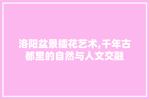 洛阳盆景插花艺术,千年古都里的自然与人文交融