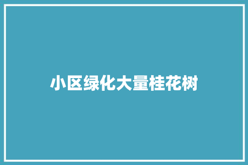 小区绿化大量桂花树