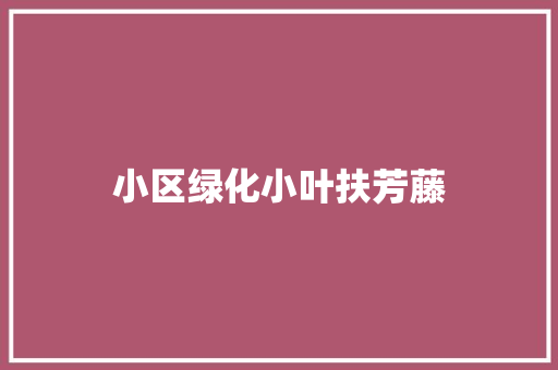 小区绿化小叶扶芳藤