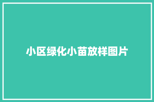 小区绿化小苗放样图片 有机育苗