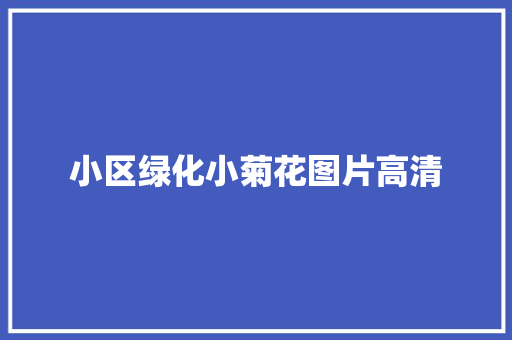小区绿化小菊花图片高清