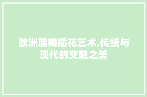欧洲腊梅插花艺术,传统与现代的交融之美