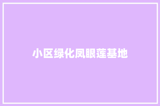 小区绿化凤眼莲基地