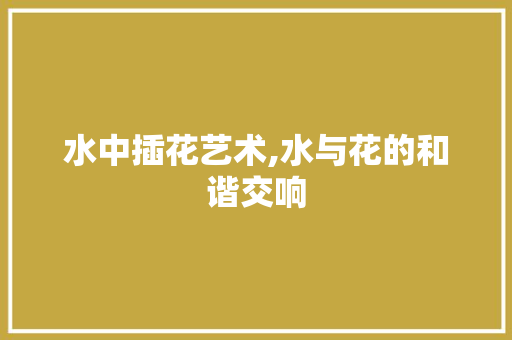 水中插花艺术,水与花的和谐交响