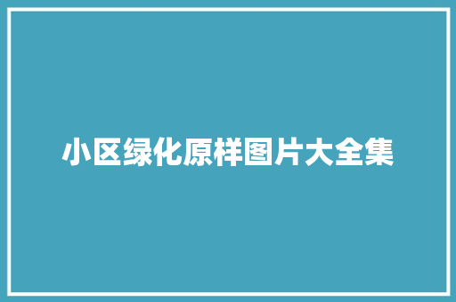 小区绿化原样图片大全集