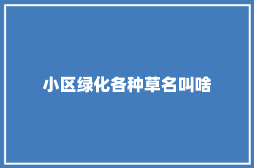 小区绿化各种草名叫啥