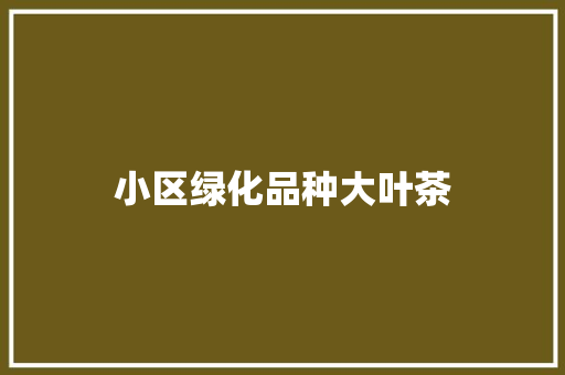 小区绿化品种大叶茶