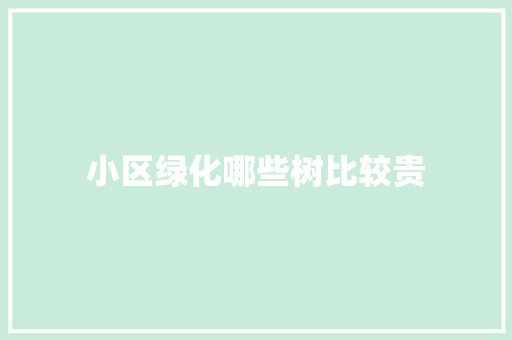 小区绿化哪些树比较贵