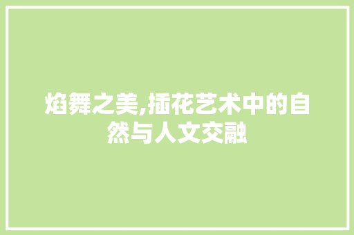 焰舞之美,插花艺术中的自然与人文交融