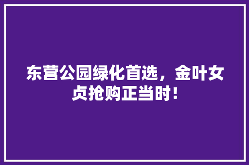 东营公园绿化首选，金叶女贞抢购正当时！