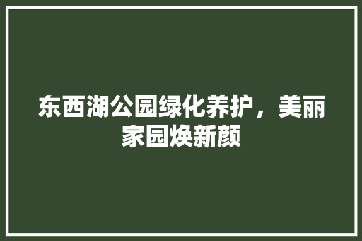 东西湖公园绿化养护，美丽家园焕新颜