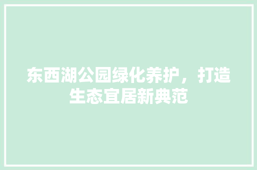东西湖公园绿化养护，打造生态宜居新典范