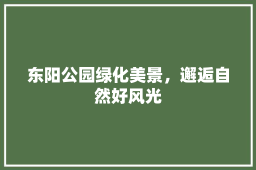 东阳公园绿化美景，邂逅自然好风光