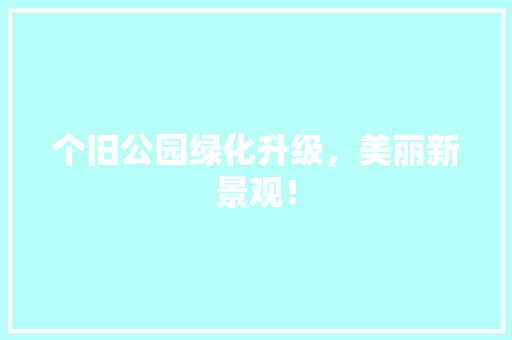 个旧公园绿化升级，美丽新景观！ 有机育苗
