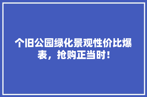 个旧公园绿化景观性价比爆表，抢购正当时！